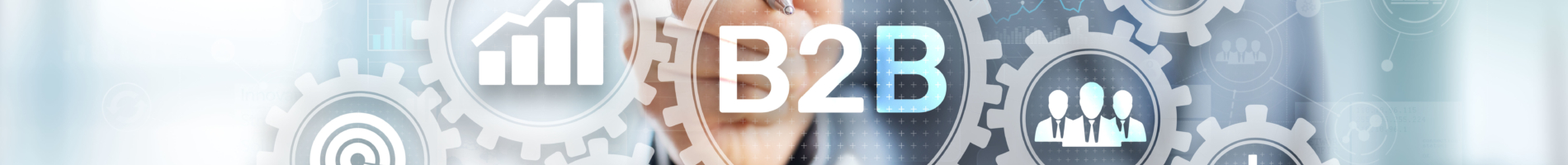 Digital Marketing B2 B 